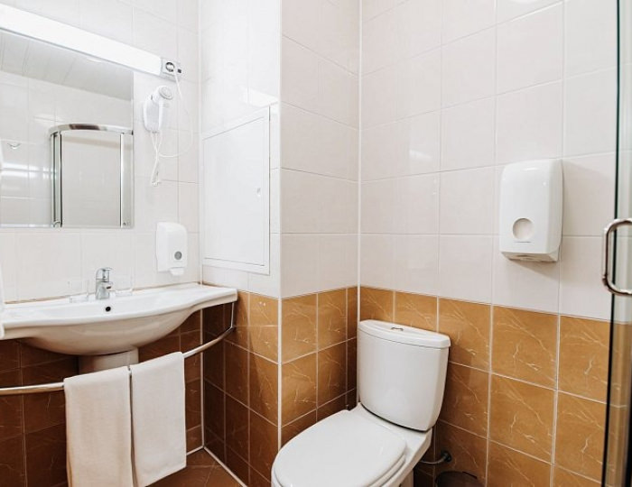 Стандартный номер - Парк-отель Lesnoy / Лесной