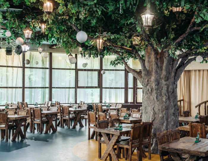 Бар «Лесной» - Парк-отель Lesnoy / Лесной