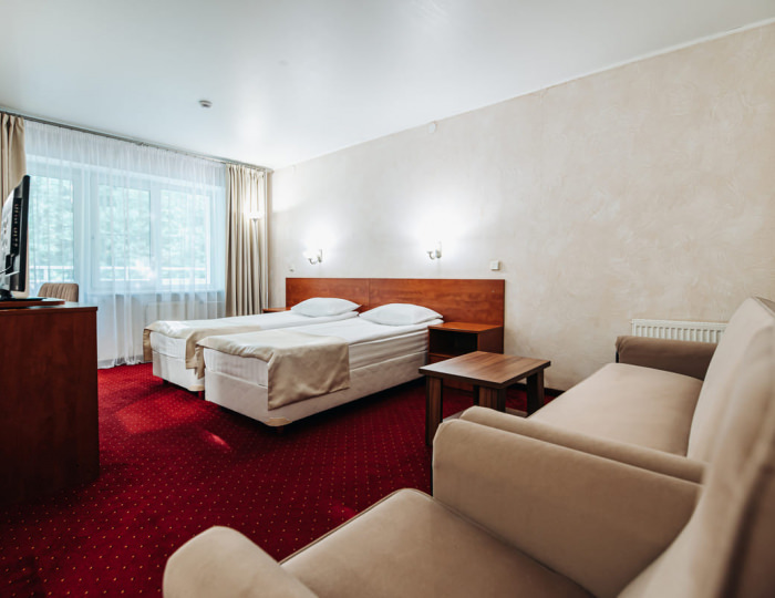 Стандартный номер с диваном - Парк-отель Lesnoy / Лесной