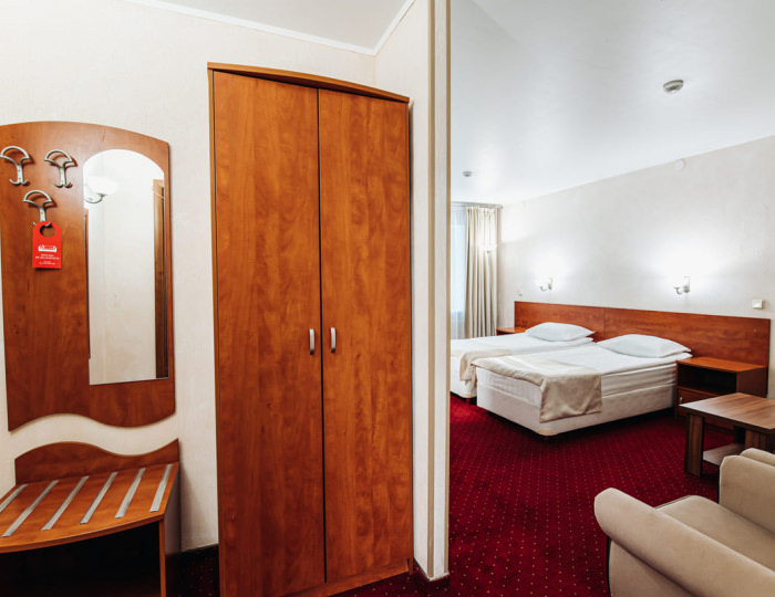 Стандартный номер с диваном - Парк-отель Lesnoy / Лесной